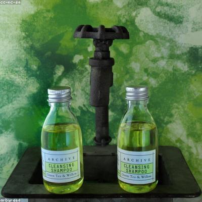 Anti-Dandruff Shampoo (Travel Size)